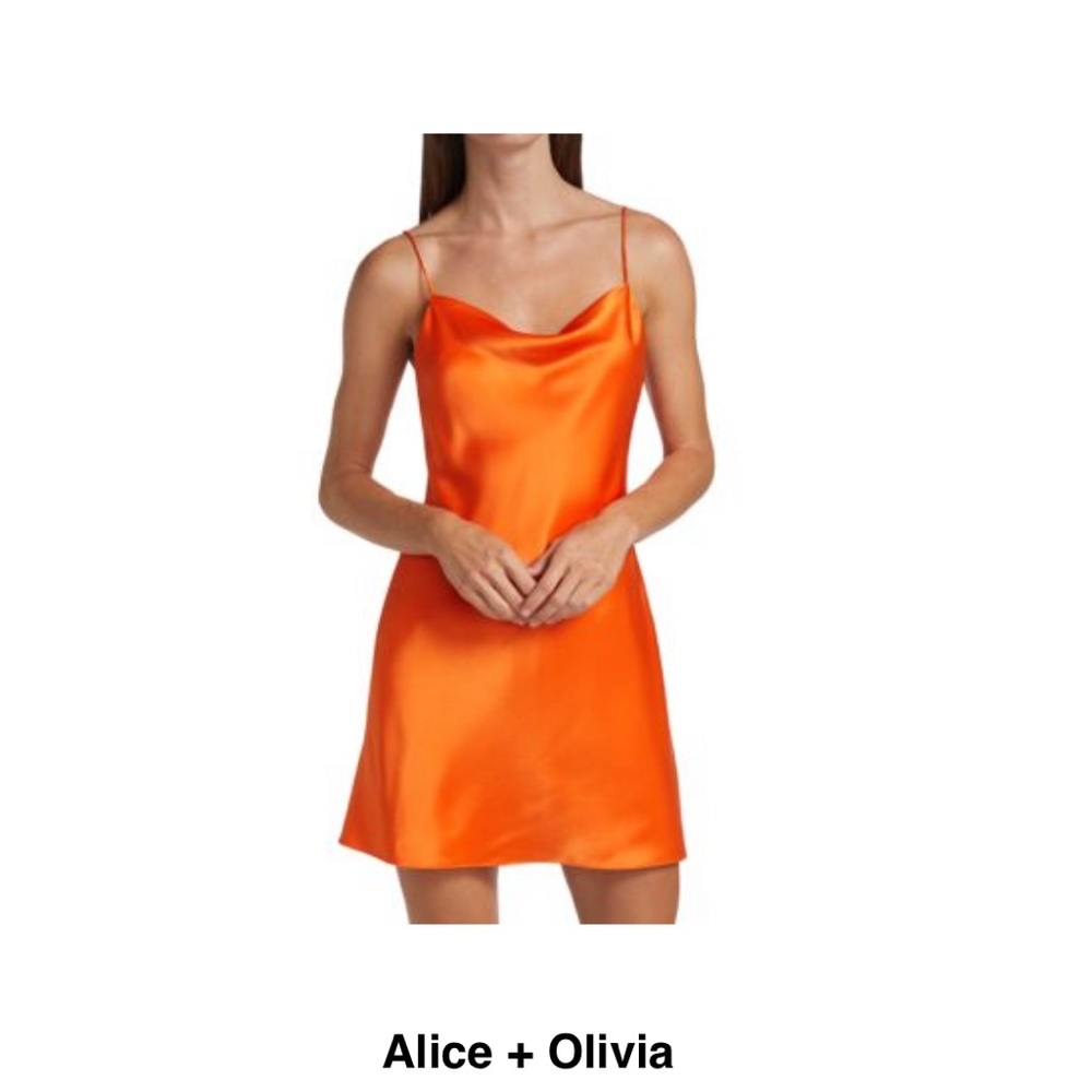 Brand new w tags Alice +Olivia dress. Never worn, just missed the return window
